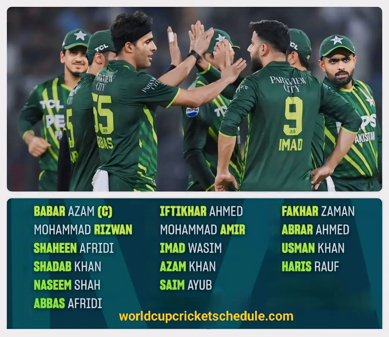 Top 15 Players for Pakistan T20 Squad 2024 World Cup